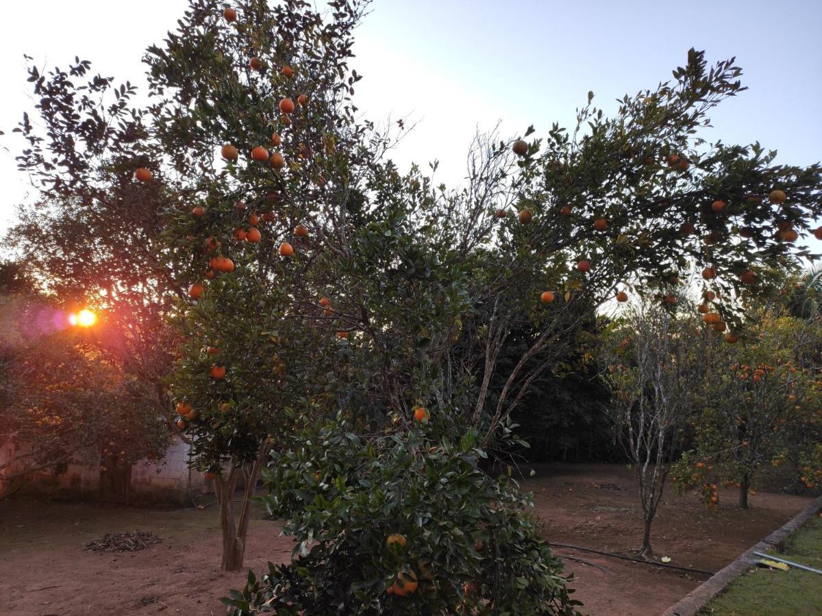 Casa De Campo Lazer Completo Paraiso De Reservas Naturais Em Sp Ibiúna エクステリア 写真